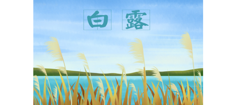 白露來臨，如何有效預(yù)防池塘變化？